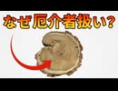ヨーロッパの高級木材が日本で最悪の外来種になった理由【ニセアカシア】