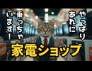 【単発バイト猫】第８話  猫が家電を売るってさ！