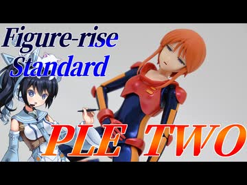 #111 【プラモデル解説・制作】"Figure-rise Standard プルツー"