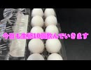 【完全栄養】【生存報告】　生卵10個に明治ブルガリアのむヨーグルトLB81を混ぜたら最高のプロテインが完成しました1533日目