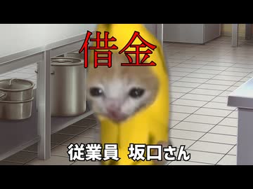 【猫ミーム】中華料理屋、やめました①