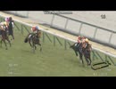 2026 大寒桜賞 (3歳1勝クラス)　テルヒコウ
