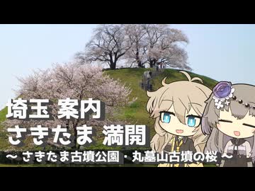 【VOICEVOX旅行】埼玉 案内 さきたま 満開 ～さきたま古墳公園・丸墓山古墳の桜～【ラップっぽいなにか】