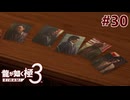 元ヤクザだけど沖縄でパパになる #30【龍が如く極3】