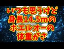 いつも思うけど身長14.5mのホエルオーの体重がさ