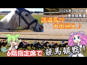 誘導馬がお出迎え♪ 東京競馬場 6階指定席で競馬観戦！ ダイヤモンドステークス