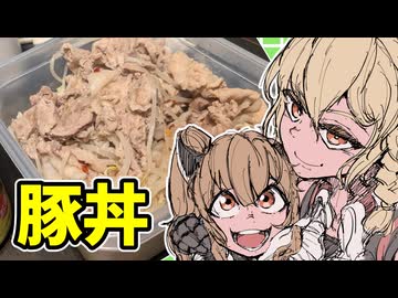 ご飯作るのめんどくさい時の豚丼つゆだくです。【ナースロボ タイプＴ】