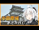 花と団子と小田原城【VOICEROID旅行】