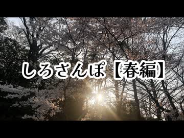 しろさんぽ[春編]