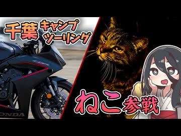 キャンプ場でネコちゃんにめっちゃ懐かれたキャンツー【千葉キャンプツーリング】【VOICEVOX車載】