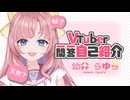 【自己紹介】無事誕生？VTuber一問一答自己紹介/VTuber Q&A self introduction【幼井らゆら】