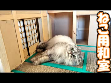 【1/6サイズ】ねこ用の和室を作ってみた!【製作風景紹介】