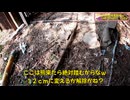 （春になったのうｗ）変態忍者の、有害鳥獣駆除従事活動記・その３６７