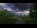 【VRChatワールド紹介】Eastern European Swamp