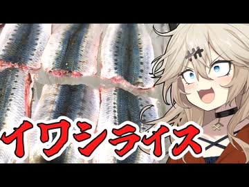 イワシライスだもんに！つむぎとひまり