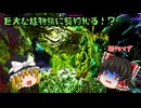 【ARK: Survival Ascended】森の奥でヤバいやつに出会った…【ゆっくり実況】