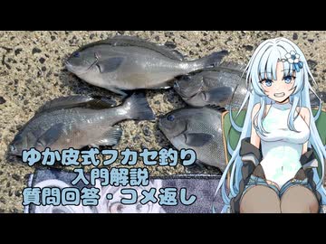 【VOICEVOXフィッシング】ゆか皮式フカセ釣り入門解説・質問＆コメ返し編