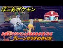 ぽこあポケモン　料理のレシピ　プレーンサラダの作り方　お供えでポケモンとまあまあ仲良くなる・このは強化　＃５０５　【ぽこポケ】
