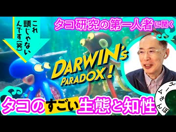 【海の賢者】タコ研究の第一人者に『Darwin's Paradox!』をプレイしながらタコのすごい生態を聞いてみた