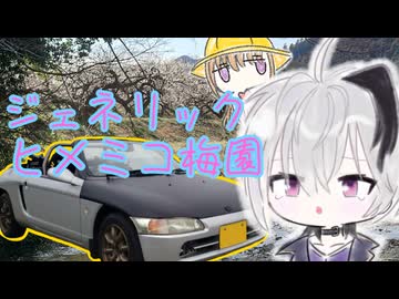 【 talk flower 】ヒメミコがきれいな季節だね『オープンカー車載』