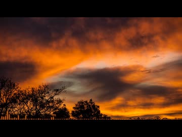 雨上がりの後 After the rain 【BGM】