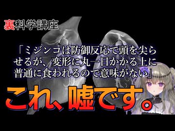 ミジンコは防御反応で頭を尖らせるが、変形に丸一日かかる上に普通に食われるので意味がない！？