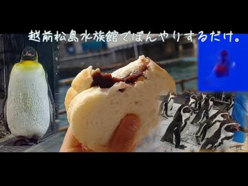越前松島水族館でぼんやりするだけ。