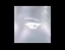 real_ ft. 重音テト_