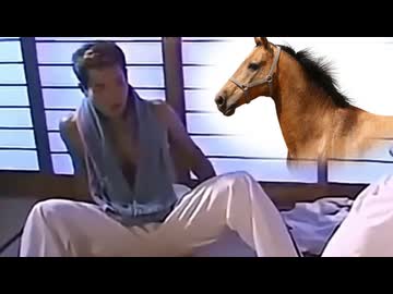 この辺にぃ、馬来てるらしいっすよ