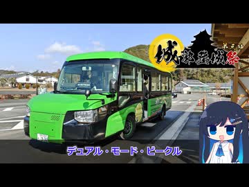 【徳島県・海部郡牟岐町～海陽町】阿波九城巡り終わりました【城郭登城祭第三陣】