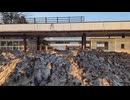 ばんえい競馬の夢の跡 岩見沢競馬場(北海道岩見沢市)