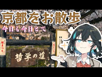 桜咲く京都市街をお散歩しました【宮舞モカ】