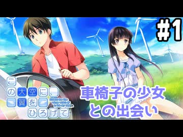 【実況】空と出会い、そして焦がれた この大空に、翼をひろげて(Switch版)をやりまSHOW part1