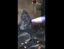 恋もたちも鈍った俺、でも練習で蘇るってマジ？