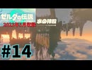 [tk14]ゼルダの伝説ティアーズオブザキングダム実況Part14 水の神殿