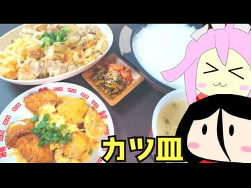 #253 カツ煮うどん＋丸鶏だし塩白湯 【中国うさぎ＆四国めたん】