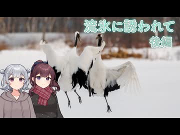 流氷に誘われて 後編