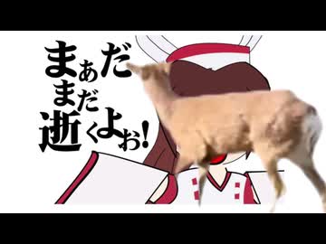 巫女さんやりナースねぇ！