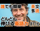 中学英語で楽しく学ぼう！英文多読ストーリー【鳥刺しとつる】 #116
