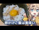 ＃２１　春日部つむぎの適当クッキング【卵かけご飯って美味しいよね】