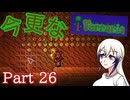 【Terraria】今更なテラリア　その26