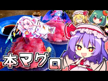 本マグロ１本でさばいてく！レミリアのマグロドレスの作り方□【料理】【ゆっくり実況】
