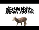 鹿さんよろこんで