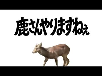 鹿さんよろこんで