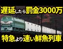 絶対に遅れが許されなかった鮮魚特急「とびうお号」【ゆっくり解説】