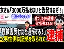 女さん「冤罪仕掛けて3000万円請求したら逮捕された...」→フェミが有罪にするなとブチギレてしまう...