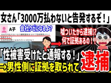 女さん「冤罪仕掛けて3000万円請求したら逮捕された...」→フェミが有罪にするなとブチギレてしまう...