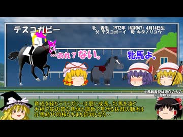 名馬解説　テスコガビーについて