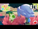 【実況】ぽこ あ ポケモンを初見で遊ぶいも【#14】
