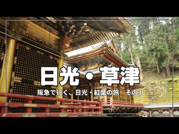 東照宮だけじゃない…大猷院がすごすぎた【阪急で行く、日光・紅葉の旅 その3】